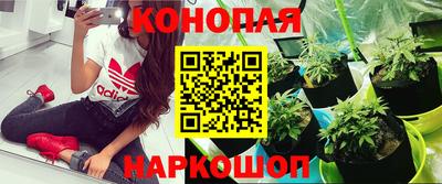 каннабис Краснокаменск